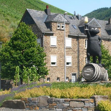 Mosel Ferienhaus Kleine Merle 摩泽尔河畔的泽尔 外观 照片